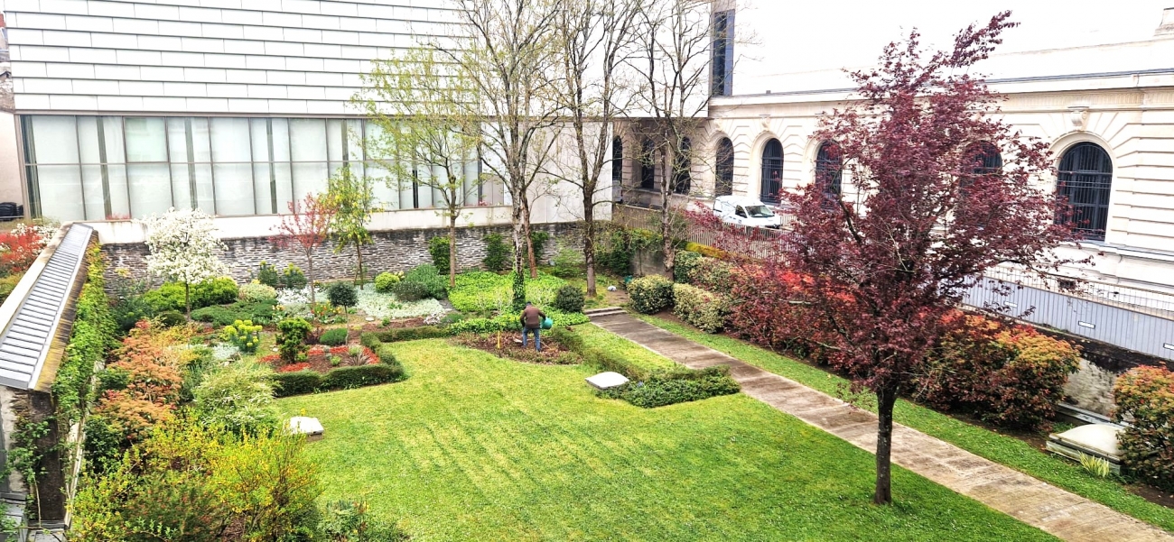 T3 RUE CLEMENCEAU 98 M2